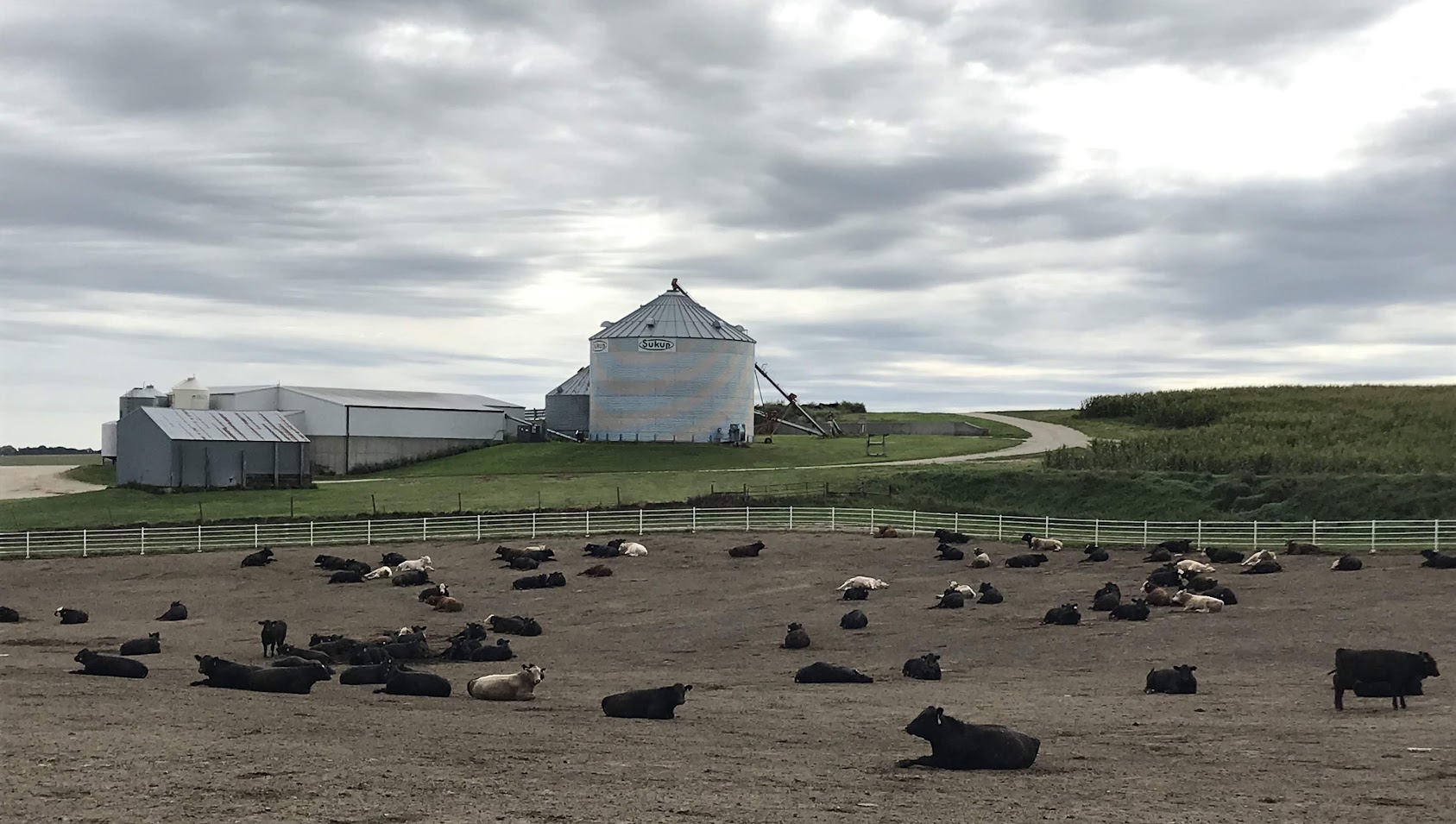 J&S Feedlots